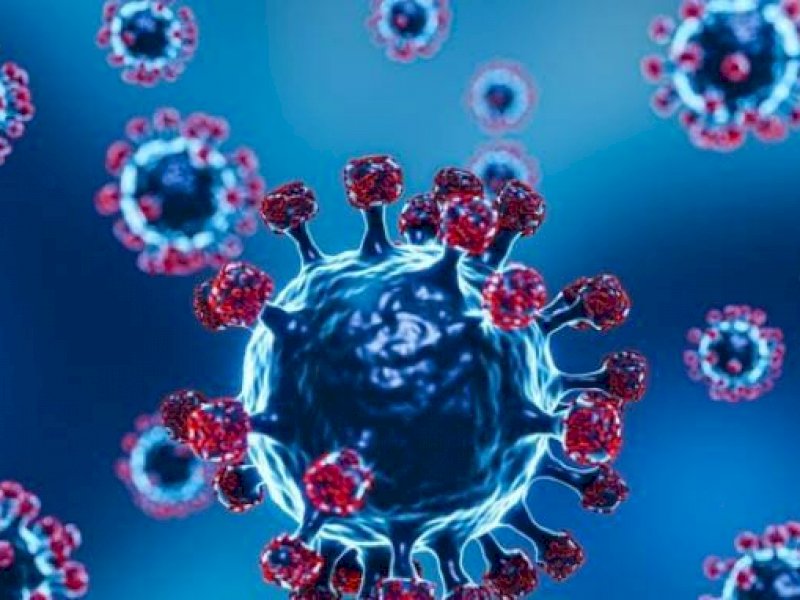 Satgas Beri Warning: Kasus Kematian Covid-19 Naik Lagi 