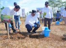 Peduli Lingkungan, Pemda Maros Bersama Pelindo Tanam 2500 Pohon Buah