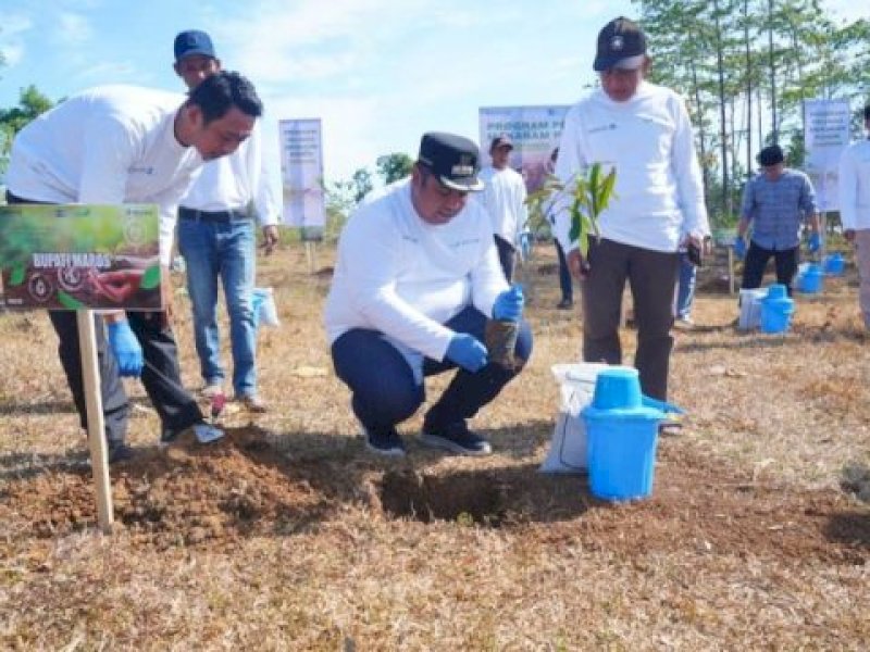 Peduli Lingkungan, Pemda Maros Bersama Pelindo Tanam 2500 Pohon Buah