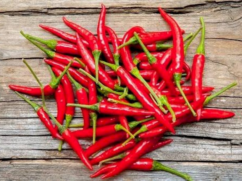 Cabe merah ternyata memiliki manfaat untuk kesehatan tubuh.