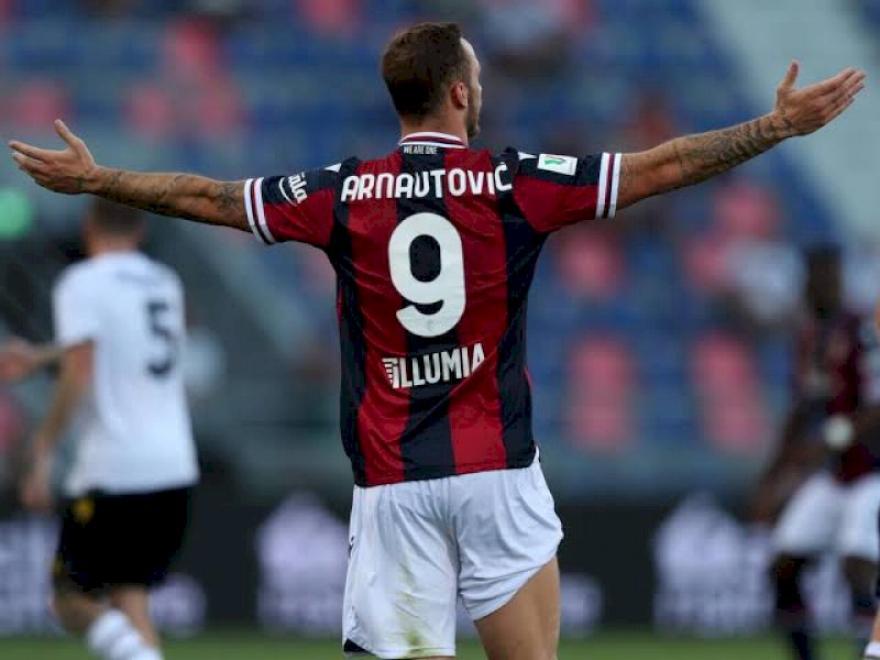 Marko Arnautovic