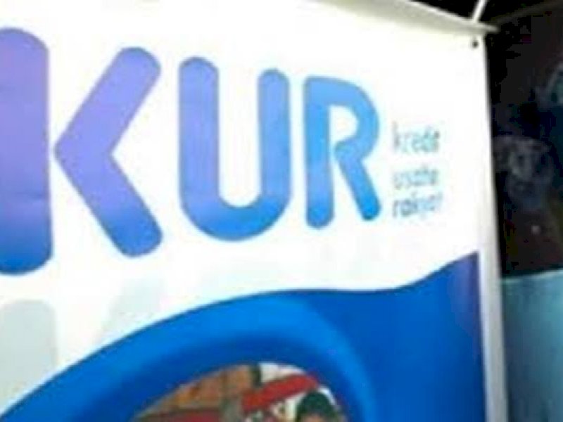 Realisasi KUR di Bone Capai Rp914 M, Pertanian Mendominasi