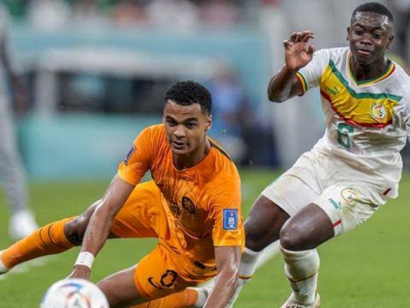 Senegel berhadapan Belanda di babak penyisihan. (int)