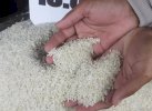 Pemerintah akan Percepat Impor Beras, Harga Bakal Meroket Masuk Ramadan