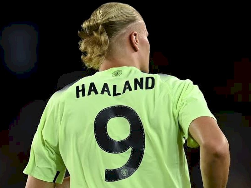 Erling Haaland (int)