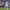 Bernardo Silva Resmi Perpanjang Kontrak di Manchester City 