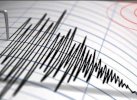 Giliran Maluku Diguncang Gempa M 5,0, Berpusat di Laut
