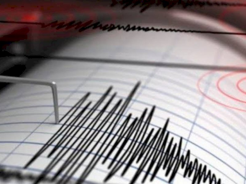 Gempa M 4,3 Terjadi di Maluku Tenggara Barat, tak Berpotensi Tsunami