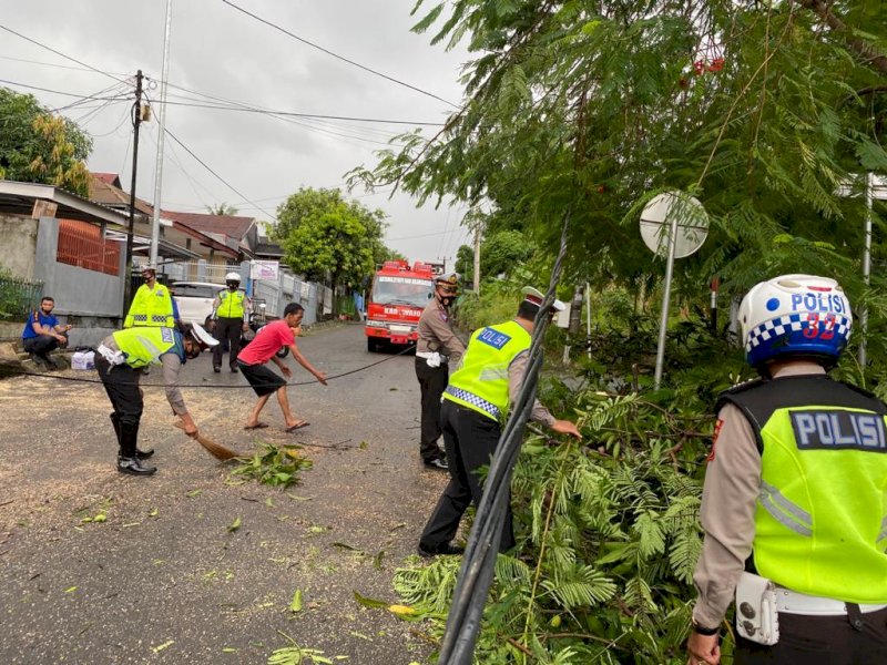 Proses evakuasi pohon tumbang di Wajo. 