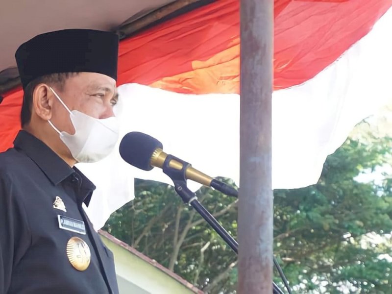 Bupati Wajo Amran Mahmud