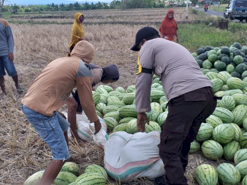 Bhabinkamtibmas di Bulukumba saat membantu warga. 
