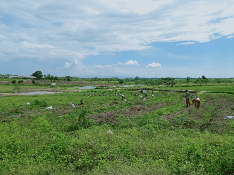 Lokasi aset negara puluhan hektar yang diduga dikuasai Muslimin Bando.