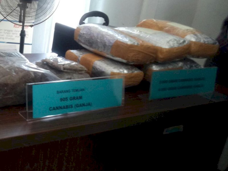 Ganja yang berhasil diamankan BNNP Sulsel. 