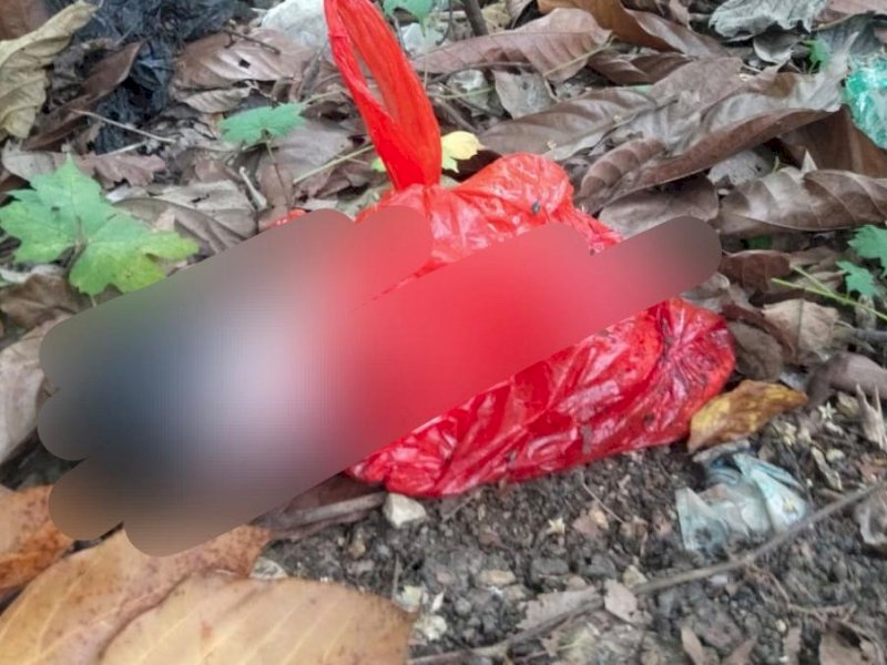 Bayi malang yang dibuang di pinggir jalan.