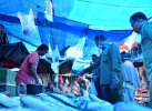 Sidak Pasar Masamba, Iqbal: Suplai Sembako Normal, Harga Stabil