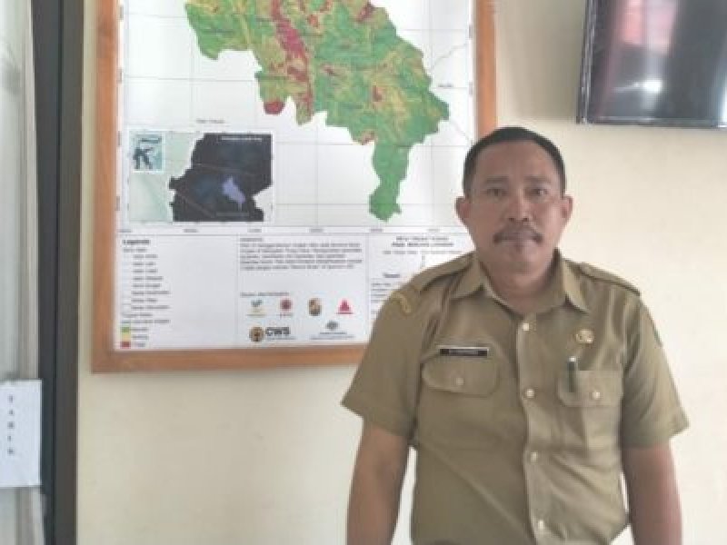 Kepala BPBD Torut Alexander Tappang. 