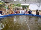 Azikin Solthan Salurkan Bantuan Pengadaan Bioflok dan Kendaraan Cold Storage di Bantaeng