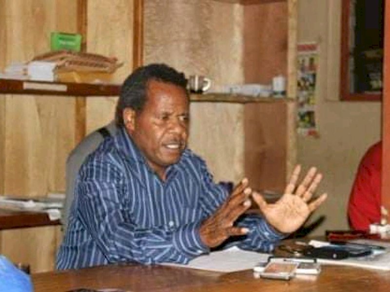 Theo Hesegem