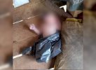 Bayi Baru Lahir Terbungkus Plastik Hitam Ditemukan di Rumah Kebun di Bulukumba