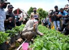 Warga Budidaya Kebun Stroberi di Bonto Tallasa, NA Apresiasi Pemkab Bantaeng