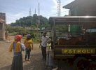Tak Terurus, Satpol PP Wajo Tertibkan Ternak Liar di Jalan