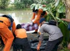 Pria Tua yang Hanyut di Sungai Welennae Bone Ditemukan Tewas