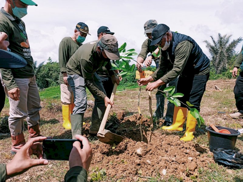 Penanaman pohon peringati Hari Bakti Rimbawa di Enrekang. 