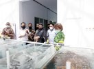 BPBL Ambon Ingin Kembangkan Potensi Ikan Hias untuk Nelayan Bantaeng