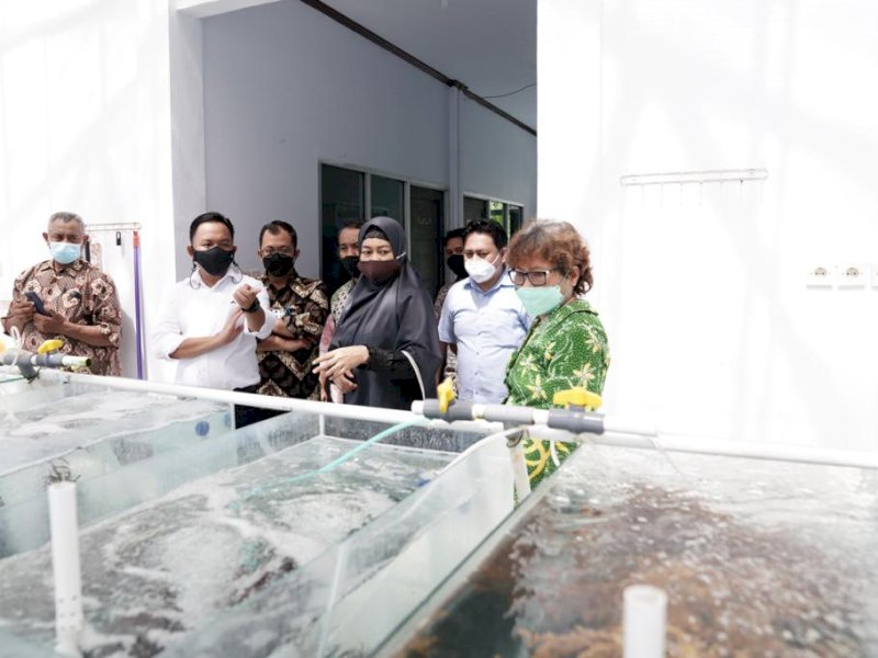 Kunker Bupati Bantaeng ke Ambon. 