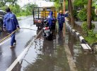 Respon Cepat Dinas PU Makassar Tangani Pohon Tumbang dan Genangan Banjir