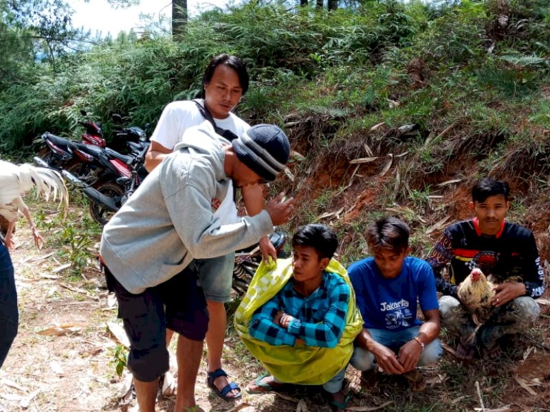 Sejumlah pelaku judi sabung ayam yang berhasil diamankan saat Reskrim Polres Tator melakukan penindakan di Tiakka, Kecamatan Saluputti. (Ist) 