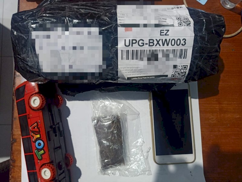 Ganja sintetis yang diamankan polisi. 