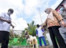 Lewat Program Family Farming, Bupati Lutra Serahkan 46 Ekor Kambing di Lantang Tallang