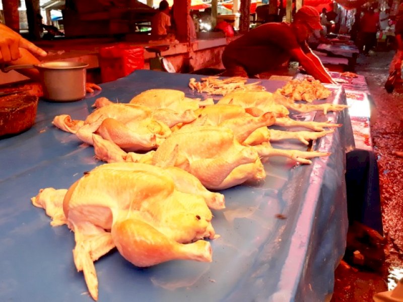 Ayam potong di Pasar Sentral Bulukumba. 