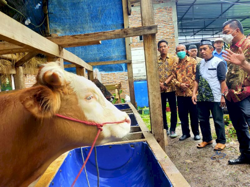 Bupati Bulukumba saat menemui peternak sapi di Salassae. 
