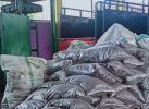 TPS 3R Mulyorejo Lutra Kelola Sampah Jadi Pupuk Organik