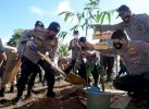 Polda Sulsel Gelar Aksi Penanaman Pohon di Gowa, Sambut HUT Bhayangkara ke-75