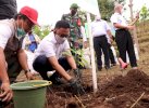 20 Ha Lahan di Bantaeng Disulap Jadi Kawasan Kampung Buah