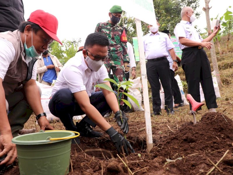 Ilham Azikin saat menanam bibit buah alpukat cipedak. 