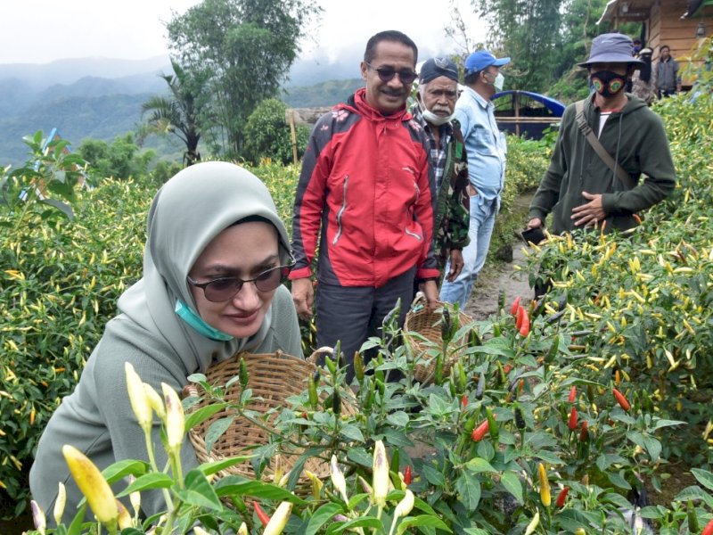 Bupati Lutra Indah Putri Indriani saat berkunjung ke Wisata Rongkong. 