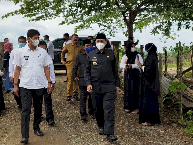 Bupati Wajo Amran Mahmud saat meninjau lokasi penggemukan sapi potong di Desa Arajang, Kecamatan Gilireng, Rabu (14/7/2021).