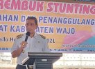 Cegah Stunting, Pemkab Wajo Hadirkan Inovasi Pak Ganteng