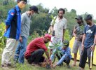 Maknai HUT RI, Mahasiswa dan Organisasi Pemuda Tanam 76 Bibit Buah di Madandan Tator