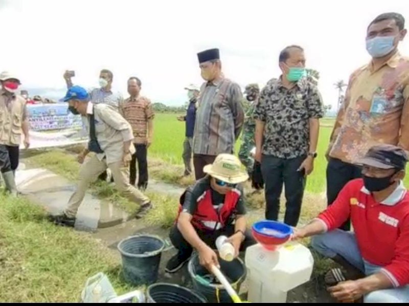 Bupati Wajo Amran Mahmud menyaksikan penyemprotan menggunakan drone. 