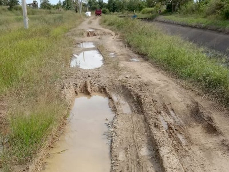 Jalan tani di Wajo yang rusak parah. 