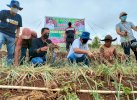 Petani Morowa Curhat ke Bupati Bantaeng: Jagung di Sini tak Begitu Bagus