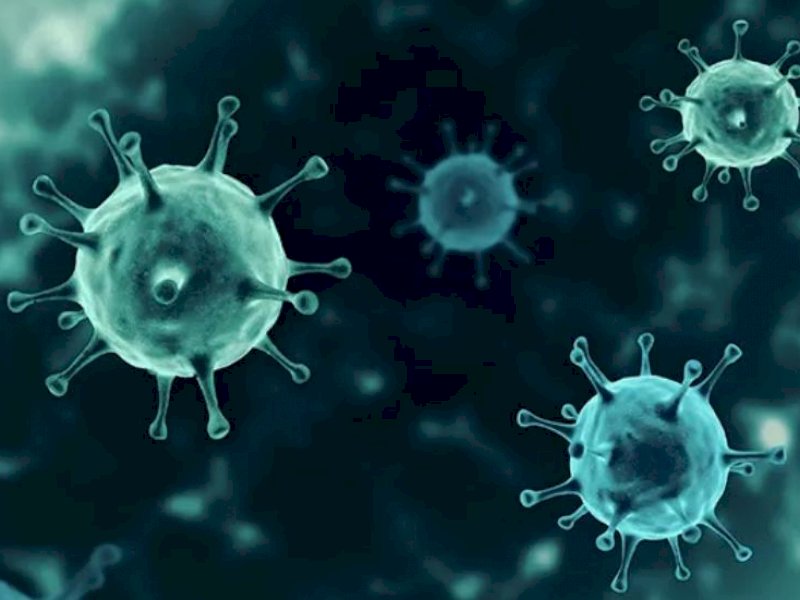 Ilustrasi Virus Covid-19. (Foto: Int)