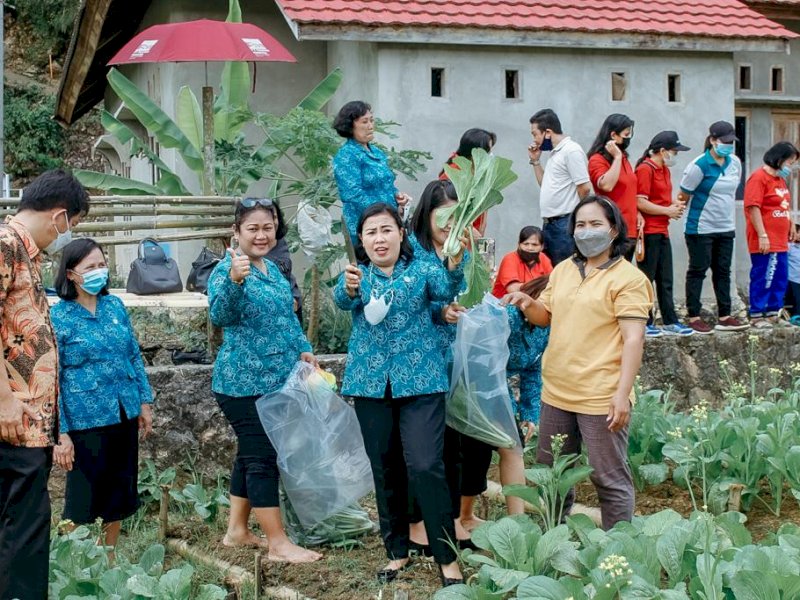 Ketua TP PKK Torut Agustina M Bassang meninjau pekarangan produk di kelurahan.