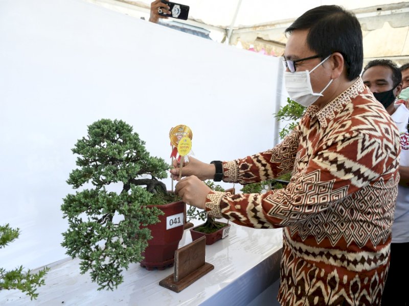 Wabup Lutra Suaib Mansur membuka pameran bonsai. 