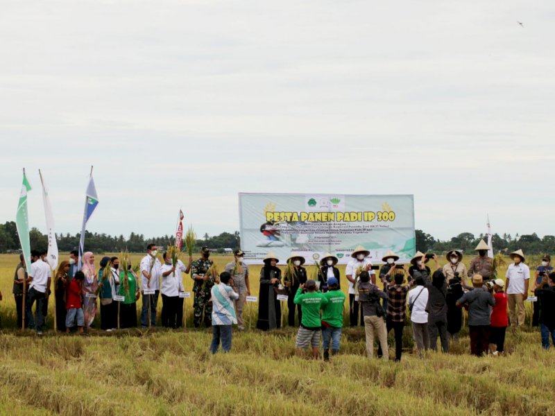 Pesta panen raya di Kecamatan Bantimurung, Maros.